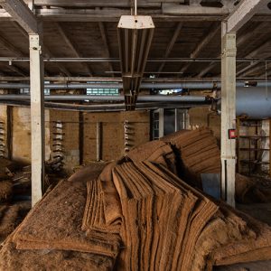 Vergessene Orte-Bootswerft-verlassene-Fabrik-Lost Place-Mario Kegel-photokDE