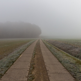 Herbst 2018 Feldweg im Nebel Mario Kegel photok DE
